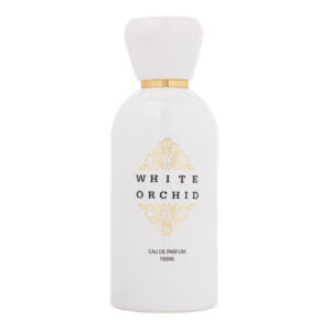 white orchid copy white orchid copy