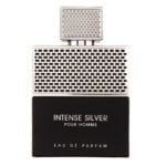 Intense Silver Pour Homme (1)