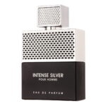 Intense Silver Pour Homme (2)