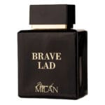 Brave Lad (2)