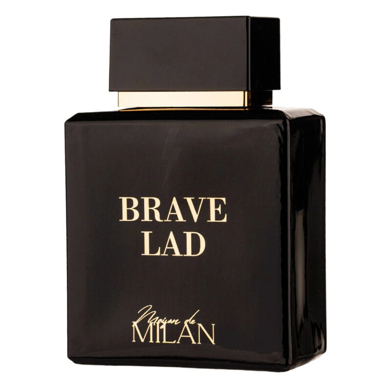 Brave Lad (2)