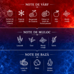 riiffs-freeze-in-flames-piramida-olfactiva-ro