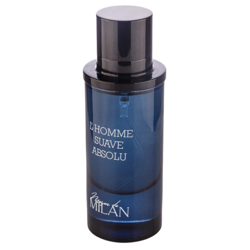 L homme suave absolut (2)